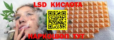 a pvp Рыбинск