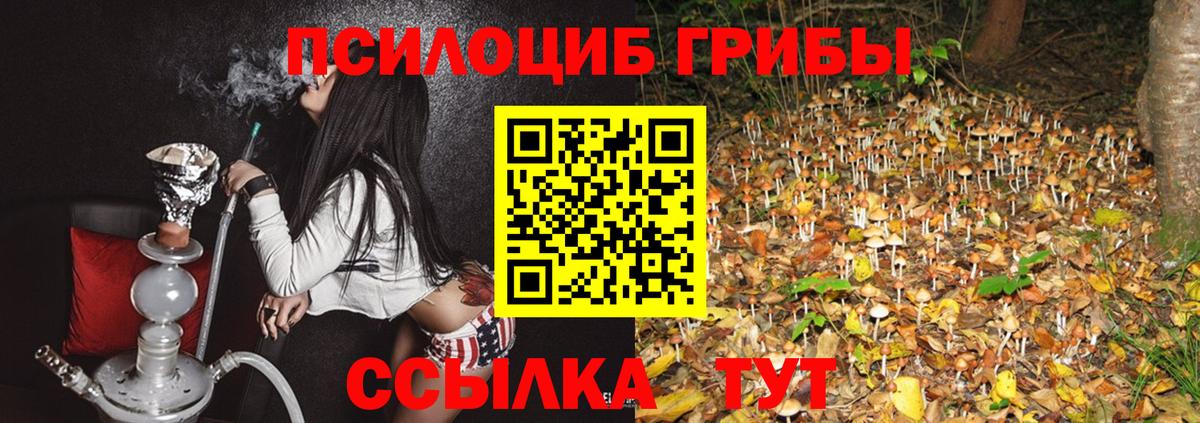 Псилоцибиновые грибы мухоморы Северобайкальск