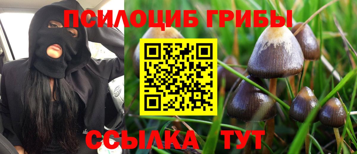 Галлюциногенные грибы мицелий  Вход с VPN  как найти   Северобайкальск  Галлюциногенные грибы Cubensis 